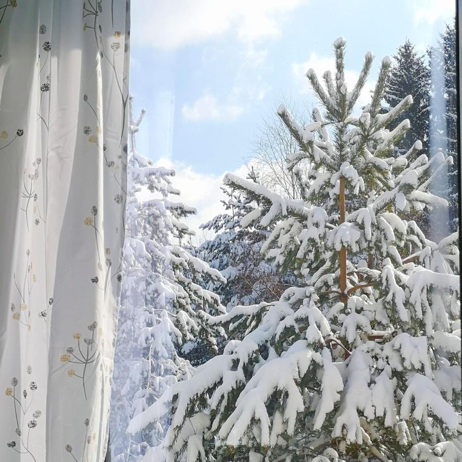 Hiona Apartment Kopaonik Luaran gambar