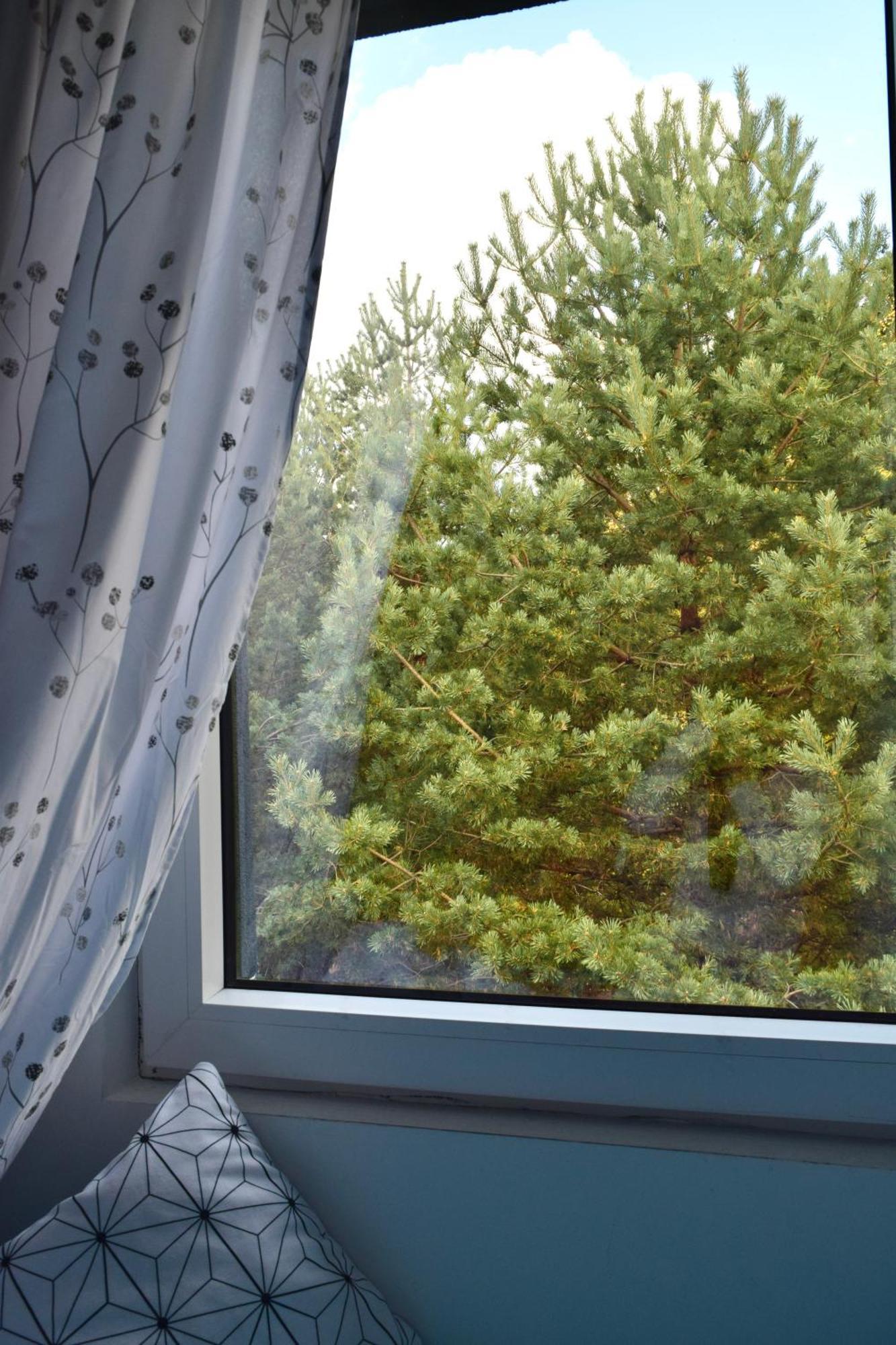 Hiona Apartment Kopaonik Luaran gambar